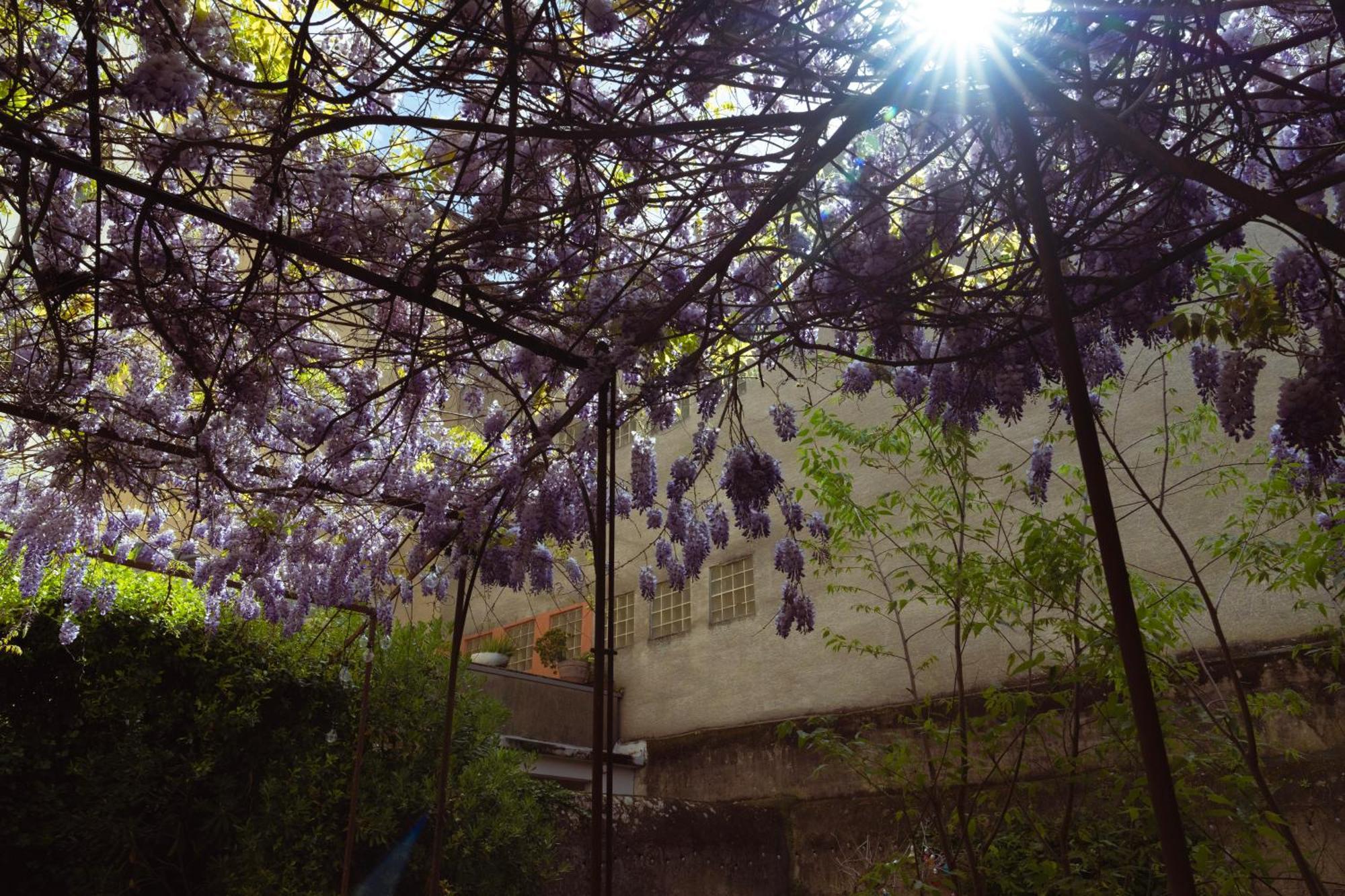 Bastide Apartamento